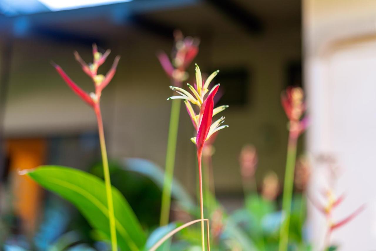 Noahs Hideaway Luxury B&B Lahaina Bagian luar foto