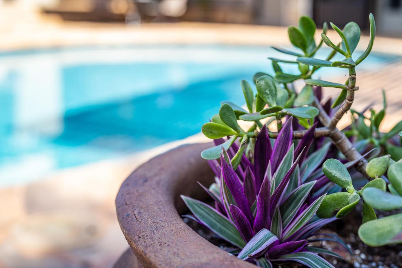 Noahs Hideaway Luxury B&B Lahaina Bagian luar foto